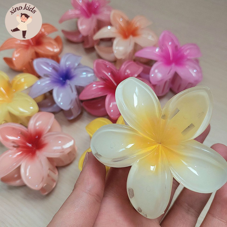 کلیپس پلومریا